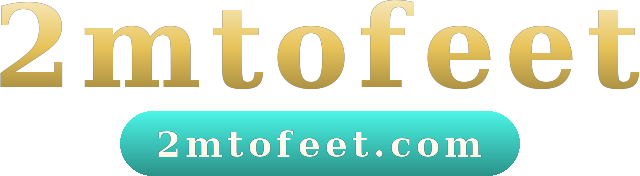 2mtofeet logo